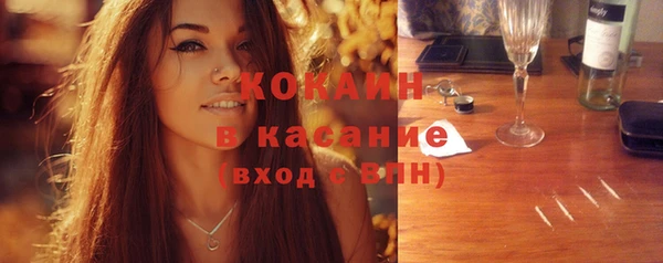 индика Семикаракорск