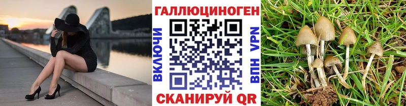 закладки  Заозёрск  Псилоцибиновые грибы MAGIC MUSHROOMS 